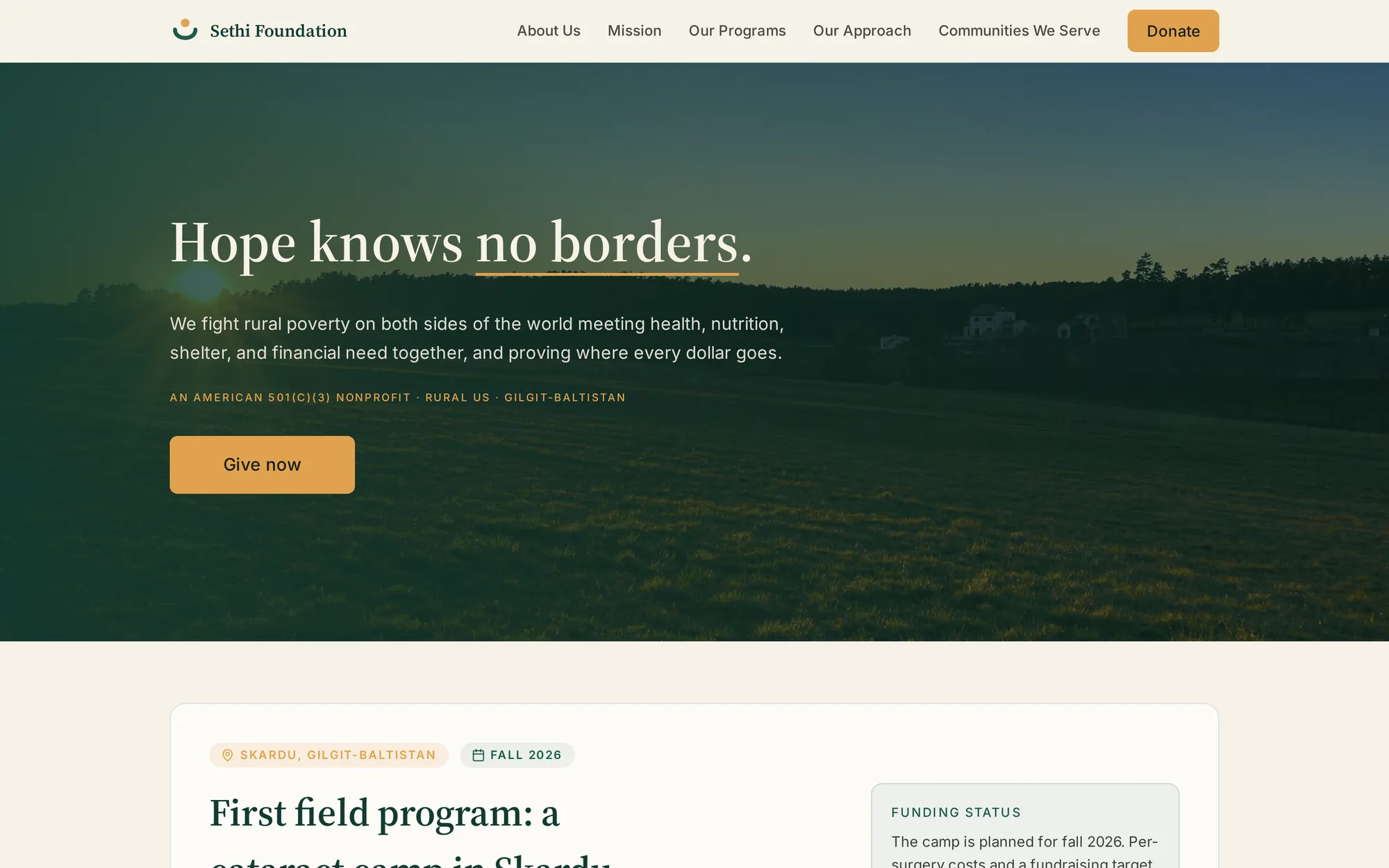 The live Sethi Foundation website home page.